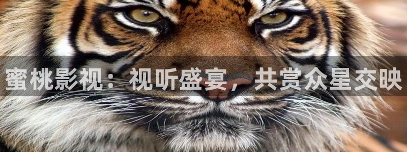 藍莓網站免費：蜜桃影視：視聽盛宴，共賞眾星交映