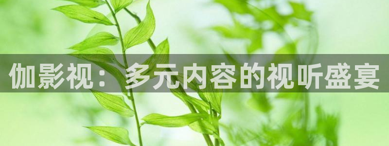 藍(lán)莓科普視頻：伽影視：多元內(nèi)容的視聽(tīng)盛宴